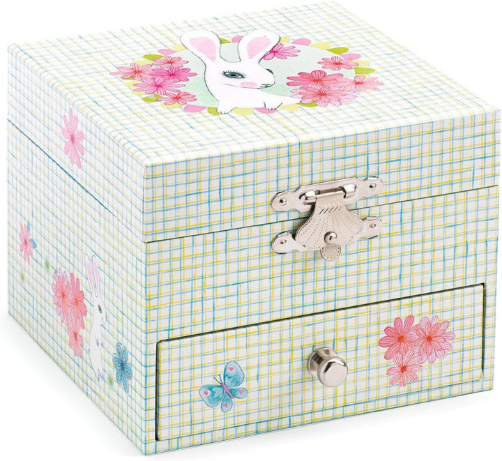 Djeco DJ06596 Musical Boxes, Mixed