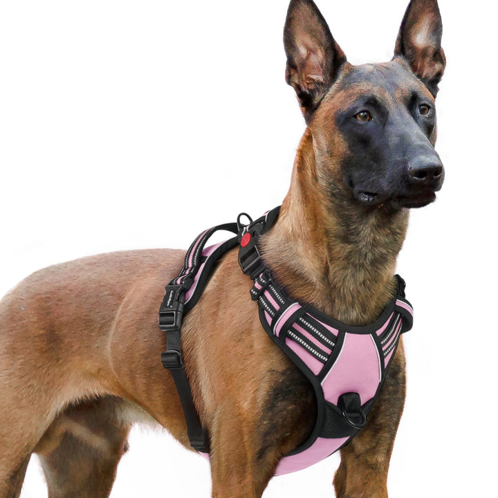 rabbitgoo Hundegeschirr Grosse Hunde, Hundegeschirr ohne Zug, Verstellbare Geschirr Hund ohne Würgen