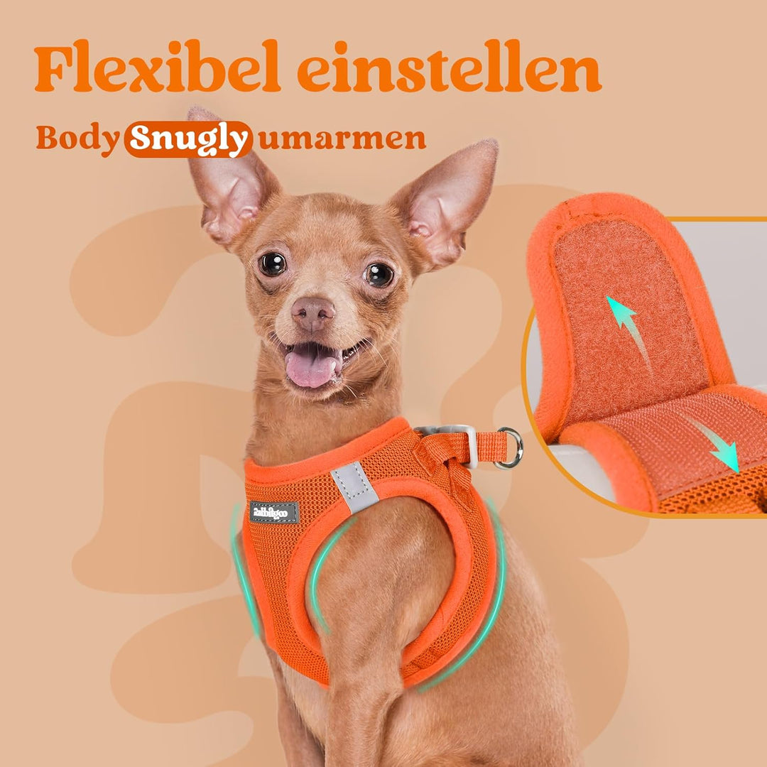 rabbitgoo Hundegeschirr Kleine Hunde, Step-in Welpengeschirr Weich Mesh für Spaziergänge, Atmungsakt