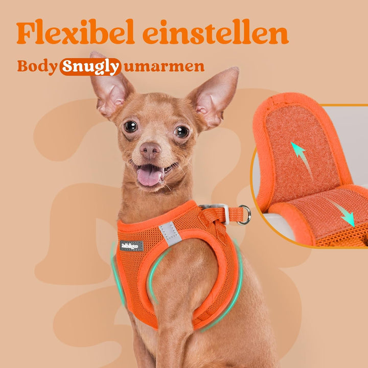 rabbitgoo Hundegeschirr Kleine Hunde, Step-in Welpengeschirr Weich Mesh für Spaziergänge, Atmungsakt