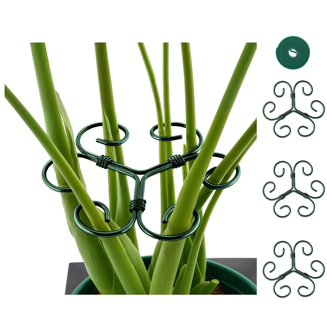 4X Pflanzenstütze,pflanzenhalter für Blumen, Rosen, Tomaten - Monstera Rankhilfe und Pflanzenhalter
