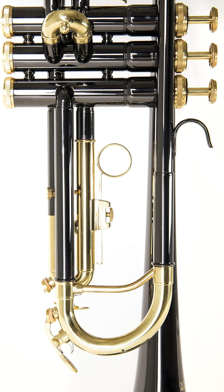 Roy Benson Bb Trompete MOD.TR-101K anthrazit lack., inkl. Etui, TR-101K
