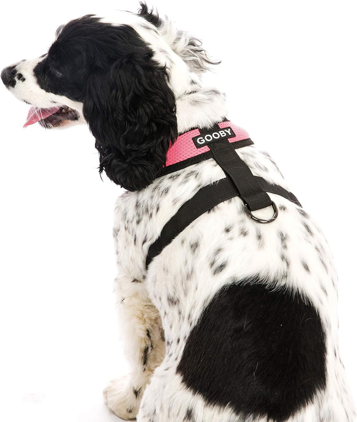 Comfort X Head in Harness – Rosa, Klein – No Pull Kleines Hundegeschirr Patentierter Würgefreier X-R