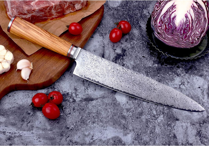 YOUSUNLONG Kochmesser 25,5 cm (10 Zoll) Japanisches Hackmesser Damaststahl Super Sharp - Griff aus i
