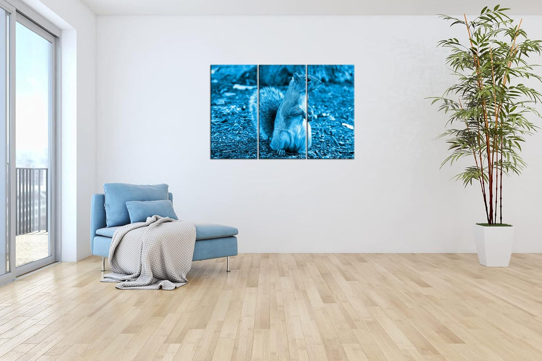 deyoli niedliches Eichhörnchen im Park Format 120x80 3Teilig Effekt: Monocrome Blau als Leinwandbild