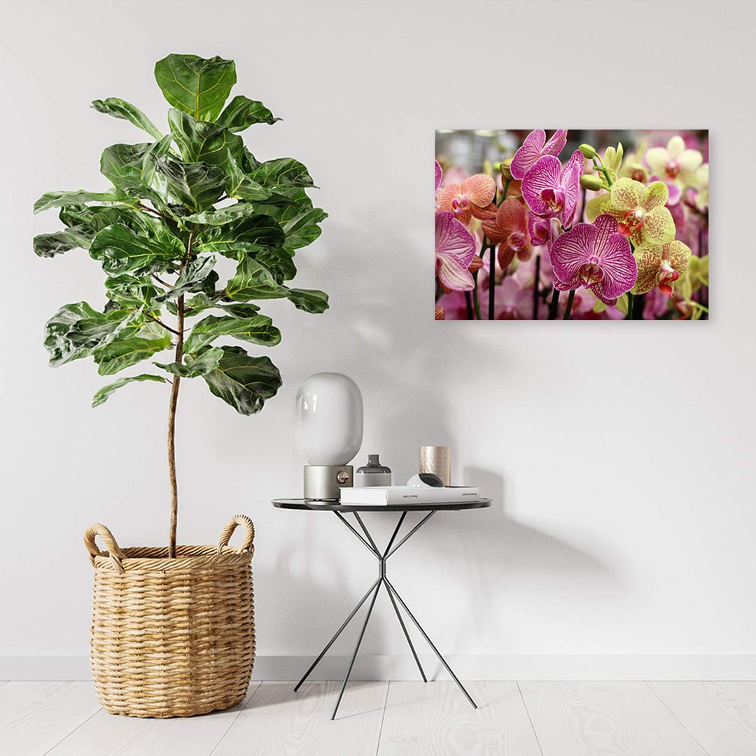 Feeby Bild auf Leinwand Pflanze Kunstdruck modern Orchidee Violett 80x60 cm Leinwandbild 80x60 cm Vi