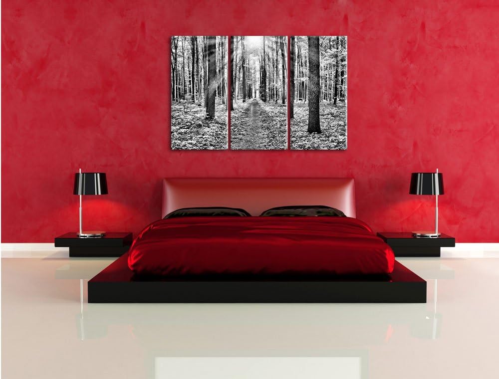 Pixxprint Sonnenlicht Wald / 3-Teilig/Gesamtmass 120cm Leinwandbild bespannt auf Holzrahmen/Wandbild