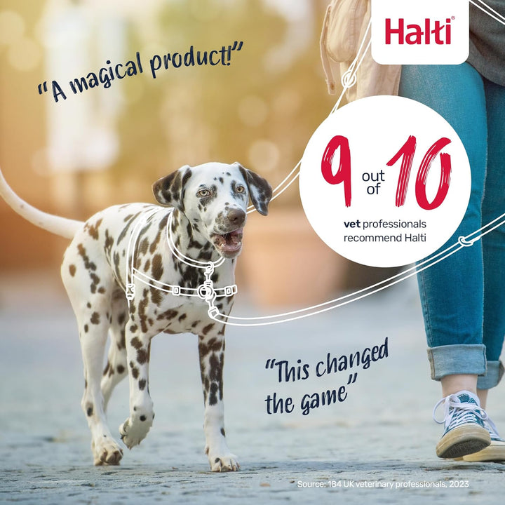 Halti Front-Kontrollgeschirr und Trainingsleine Kombi-Pack, stoppt das Ziehen des Hundes bei Spazier
