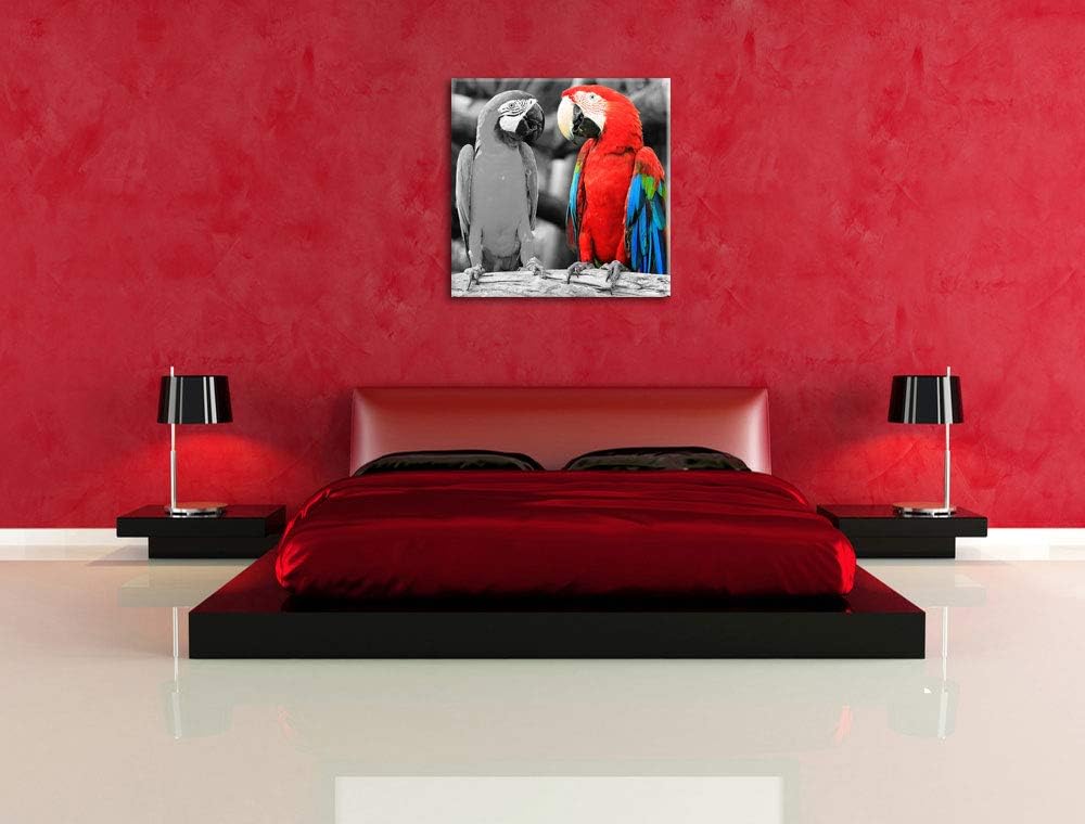 schöne Papageien auf AST als Leinwandbild/Grösse: 70x70 cm/Wandbild/Kunstdruck/fertig bespannt, 70x7