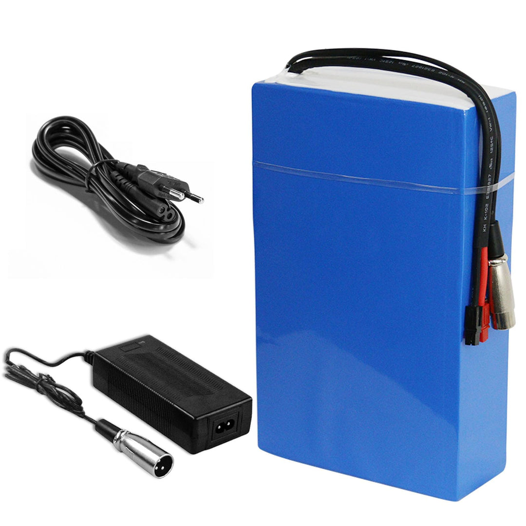 Yasco 48V 20Ah Elektro Fahrrad Akku 1800W Lithium Batterie mit Ladegerät, 50A BMS Schutz PVC Battery