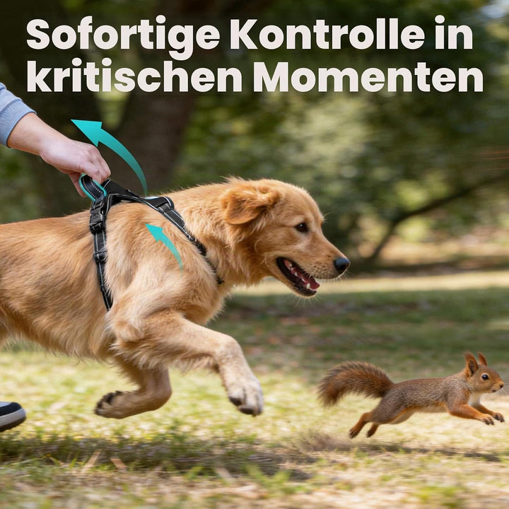 PoyPet No Pull Hundegeschirr, reflektierendes Westengeschirr mit 2 Leinenbefestigungen und einfachem