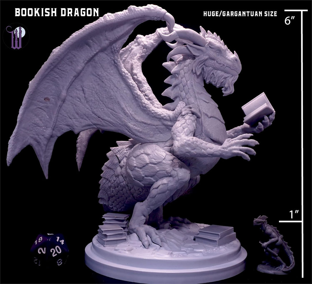 Wildspire Fantasy Bookish Dragon Miniatur – Riesige Grösse 15,2 cm für DND-Miniaturen, 28 mm, Bulk D