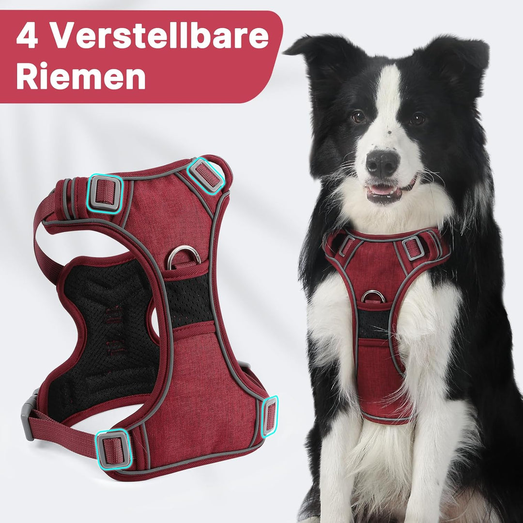Demigreat Mittleres Hundegeschirr, Anti-Zug-Hundegeschirr mit Weich Gepolstertem Griff für das Train