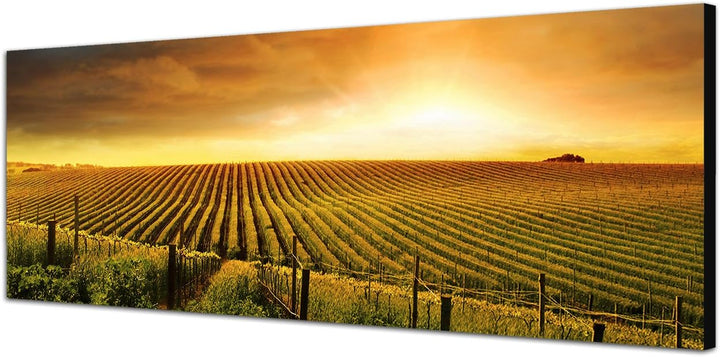 Paul Sinus Art Panoramabild auf Leinwand und Keilrahmen 120x40cm Landschaft Weinberge Sonnenuntergan