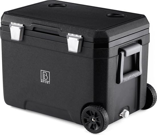 Brisby Kühlbox Camping - 45L, Kühlbox ohne Strom, inkl. 4 Dicke Kühlelemente, 3 Tage kühle Isolation