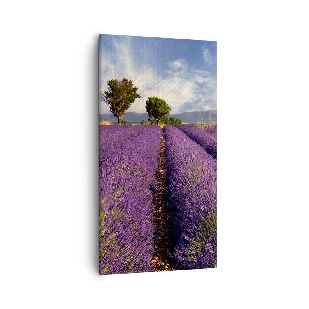 Bilder auf Leinwand 55x100cm Leinwandbild mit Rahmen Landschaft Wiese Pflanzen Gross Wanddeko Bild S