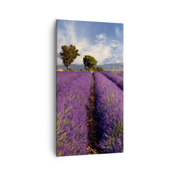 Bilder auf Leinwand 55x100cm Leinwandbild mit Rahmen Landschaft Wiese Pflanzen Gross Wanddeko Bild S
