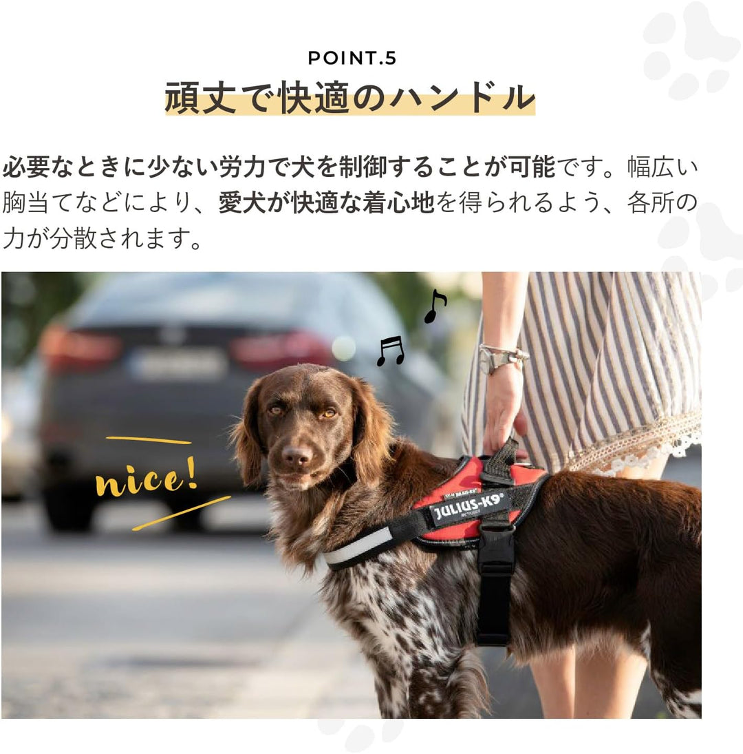 Julius-K9, IDC Powergeschirr, Grösse: L/1, Pink mit kleinen Blumen