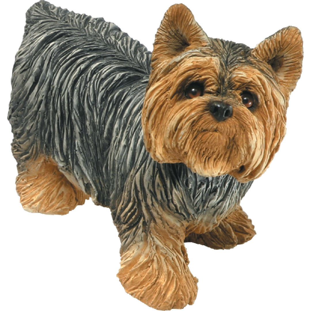 Sandicast Mid Size Yorkshire Terrier Sculpture - Standing Mid Size Yorkshire Terrier, stehend, Mid S