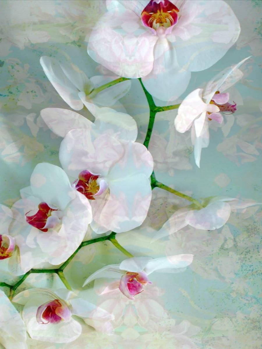 CALVENDO Puzzle Weiss Blaue Orchidee 1000 Teile Lege-Grösse 48 x 64 cm Foto-Puzzle Bild von Alaya GA