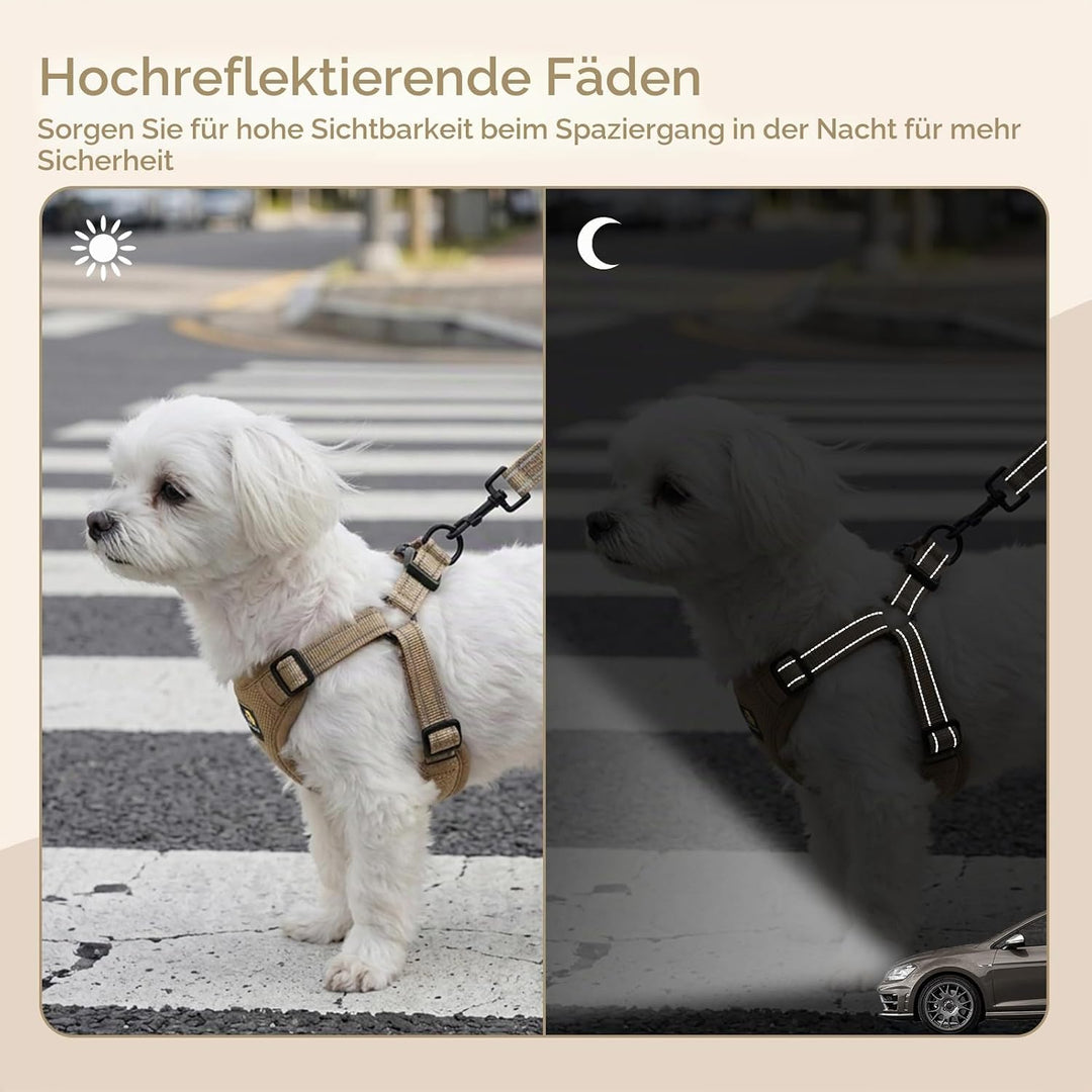 BELLA & PAL Hundegeschirr und Leine Set, Step-in Design mit atmungsaktivem Air-Mesh, reflektierenden
