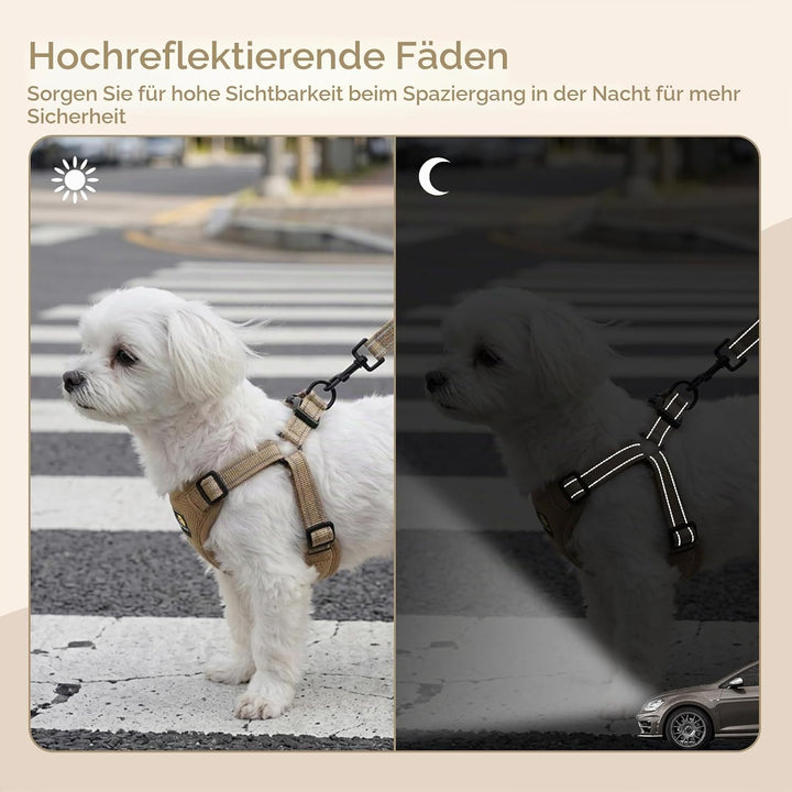 BELLA & PAL Hundegeschirr und Leine Set, Step-in Design mit atmungsaktivem Air-Mesh, reflektierenden