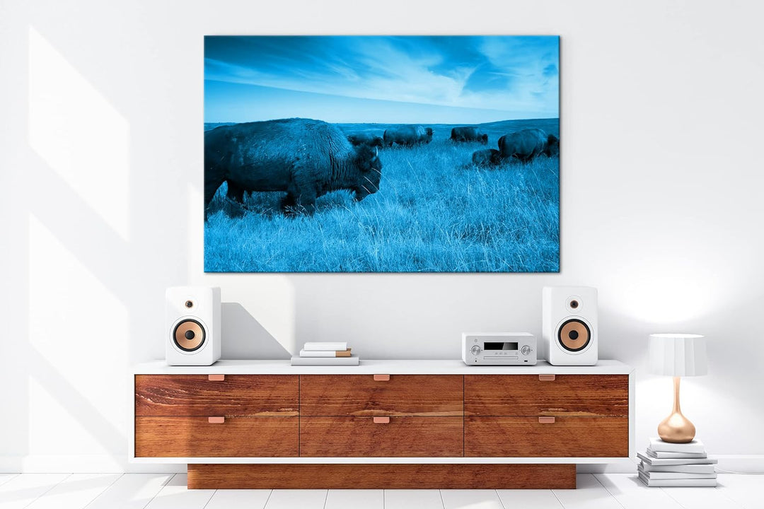 Bison Herde in der Steppe Format 80x60 Effekt: Monocrome Blau als Leinwandbild, Motiv fertig gerahmt