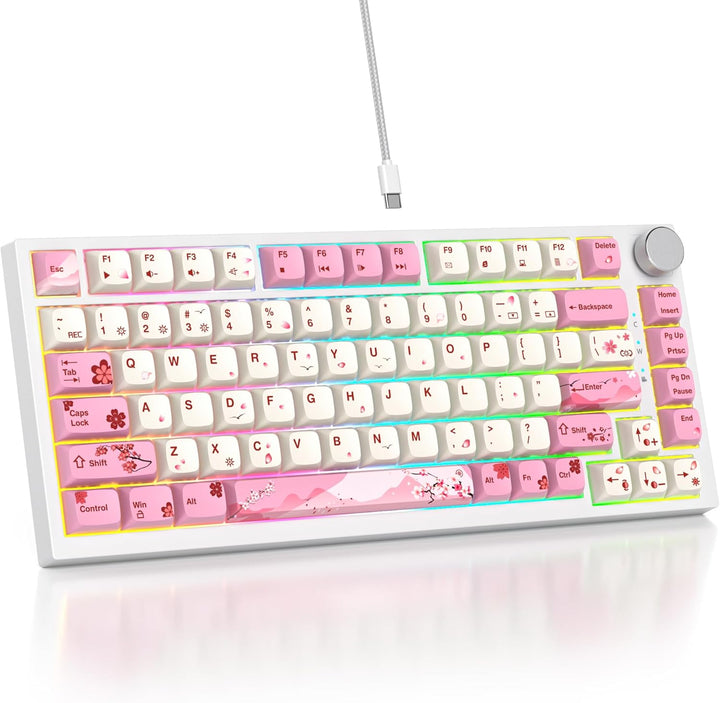 SOLIDEE Verkabelte 75% Mechanische Gaming-Tastatur,hot-swap-fähige Mechanische Tastatur mit Gasket S