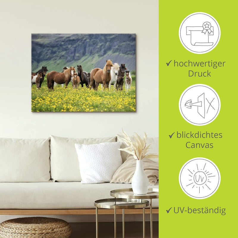 ARTland Leinwandbilder Wandbild Bild auf Leinwand 80x60 cm Wanddeko Pferd Wildpferde Herde Isländer