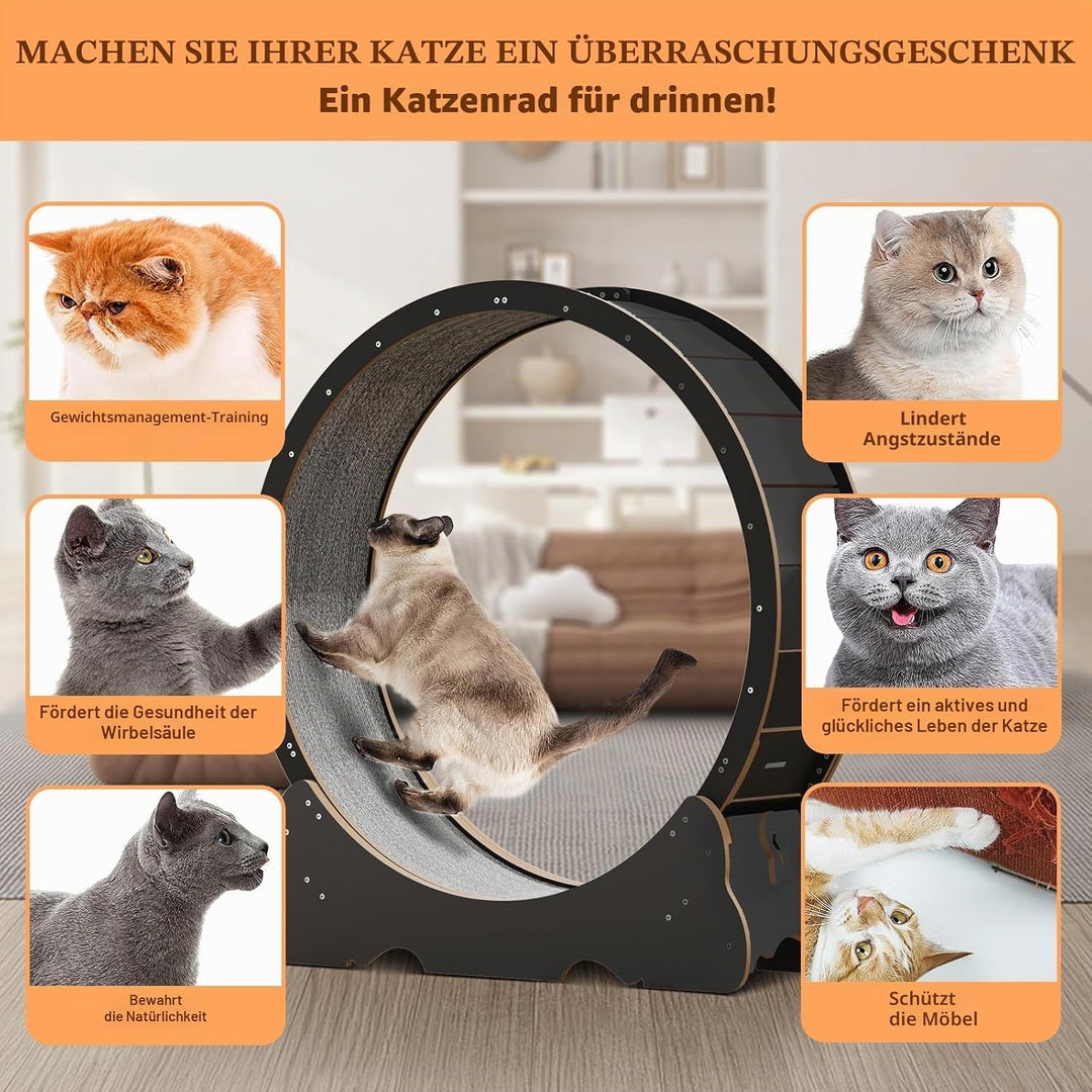 Katzenlaufrad XXL Durchmesser 135cm Gross laufrad Katze Super Leise Katzen Laufrad mit abnehmbarem T