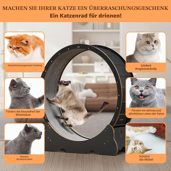 Katzenlaufrad XXL Durchmesser 135cm Gross laufrad Katze Super Leise Katzen Laufrad mit abnehmbarem T