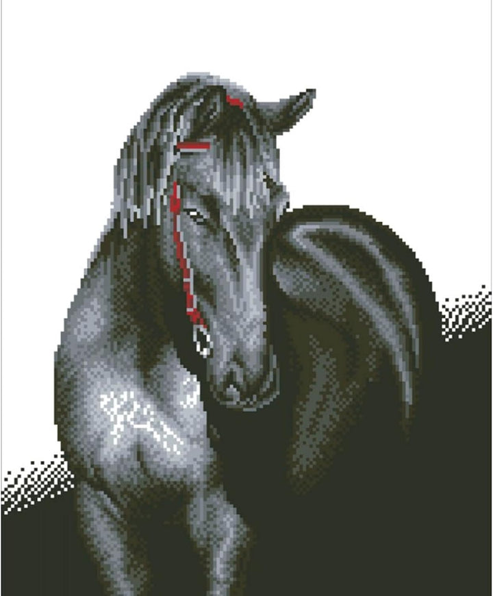 DIAMOND DOTZ DD10.012 - Original 5D Diamond Painting Set Schwarzes Pferd, Kreativset mit 16.797 Diam