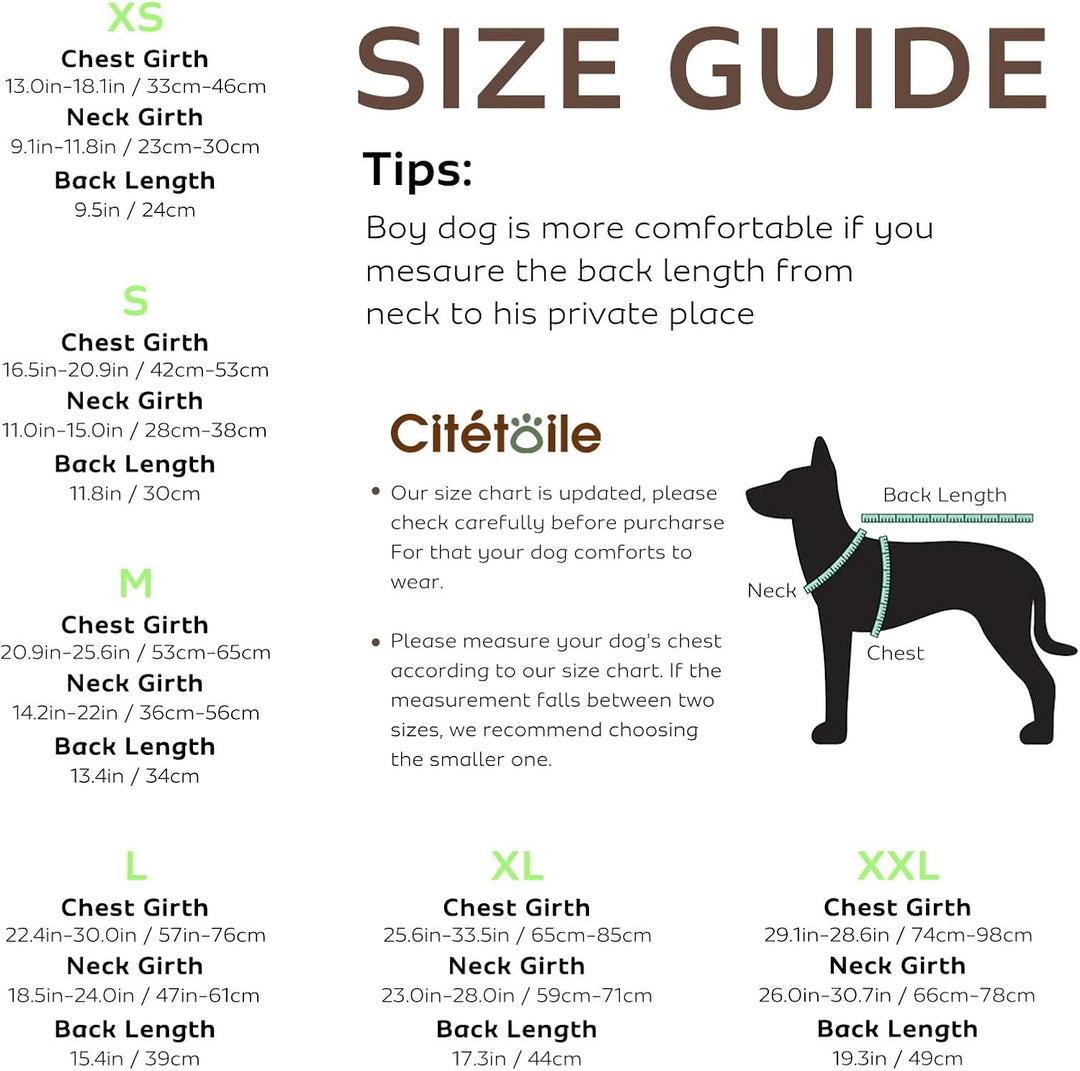 CITÉTOILE Schwimmweste Hunde Hai, Leicht und Sicher für Wassersport, hundeschwimmweste mit Griff und