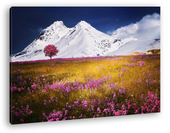 verführerisches Wiese vor denn eisigen Alpen Format: 100x70 als Leinwand, Motiv fertig gerahmt auf E