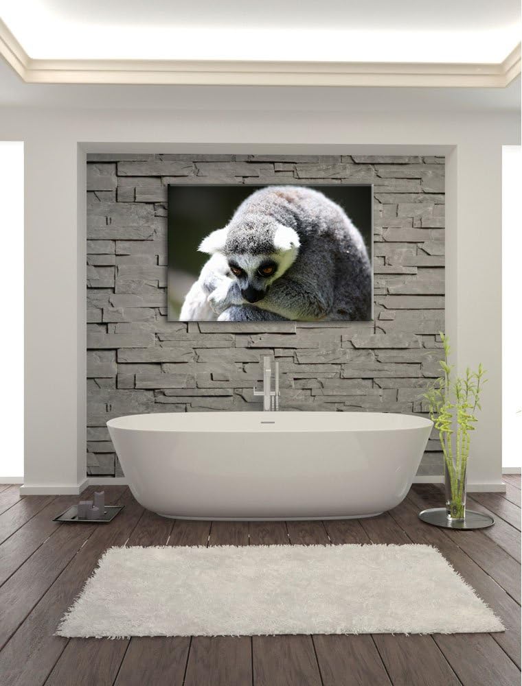 Pixxprint sitzender Katta auf Leinwand, XXL riesige Bilder fertig gerahmt mit Keilrahmen, Kunstdruck