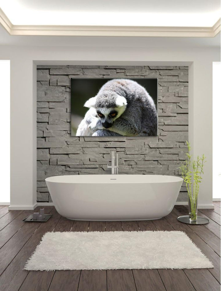 Pixxprint sitzender Katta auf Leinwand, XXL riesige Bilder fertig gerahmt mit Keilrahmen, Kunstdruck