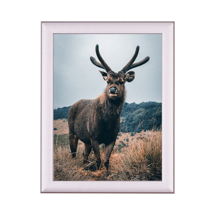 Rahmendesign24 Posterrahmen Fiona 50x50 Alu gebürstet Fotorahmen, Wechselrahmen, Bilderrahmen