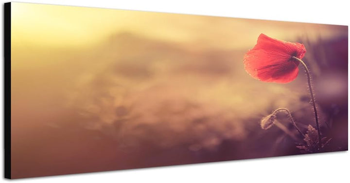 Paul Sinus Art Panoramabild auf Leinwand und Keilrahmen 150x50cm Mohnblume Sonnenlicht Natur Vintage
