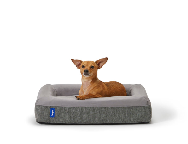 Casper Hundebett, Plüsch, Memory-Schaum, Grösse M, Grau grau L 64 x B 84 x H 15 cm, grau L 64 x B 84