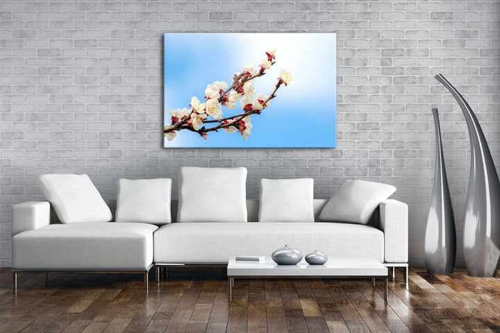 deyoli Aprikosen Zweig Format: 100x70 als Leinwandbild, Motiv fertig gerahmt auf Echtholzrahmen, Hoc