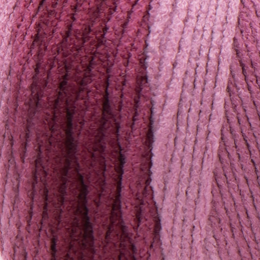 Red Heart E305.3965P02 Super Saver Jumbo Garn, Acryl, Anemone Ombre, 2 Pack, 880 Meter Anemone Ombre