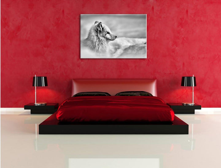 Pixxprint Anmutiger Polarfuchs im Schnee / 100x70cm Leinwandbild bespannt auf Holzrahmen/Wandbild Ku