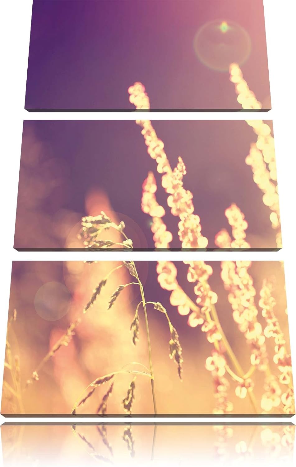Pixxprint Gräser im Sonnenuntergang als Leinwandbild/Grösse: 3 Teilig (120x80) cm/Wandbild/Kunstdruc