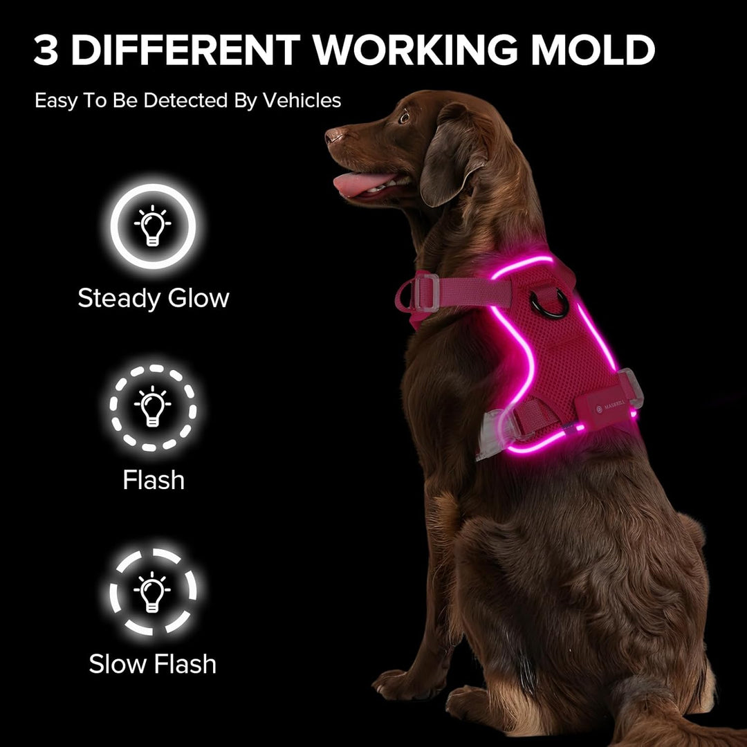 MASBRILL Hundegeschirr Leuchtend, LED Hundegeschirr Aufladbar & Einstellbar für Welpen Kleiner Mittl