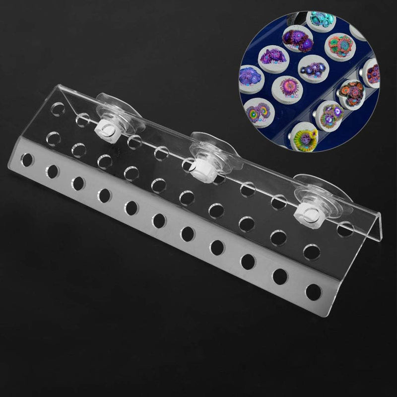 Aquarium Saugnapfhalter,Transparent Aquarium Korallenständer Ständer Korallen Frag Rack Acryl Korall
