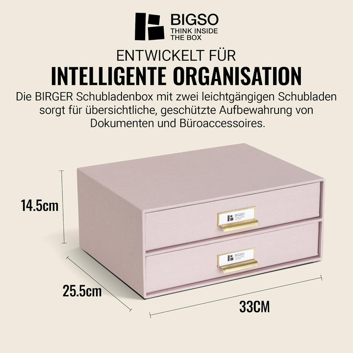 BIGSO BIRGER Schubladenbox – Aufbewahrungsbox mit 2 Schubladen – Schreibtisch Ablage für Dokumente &