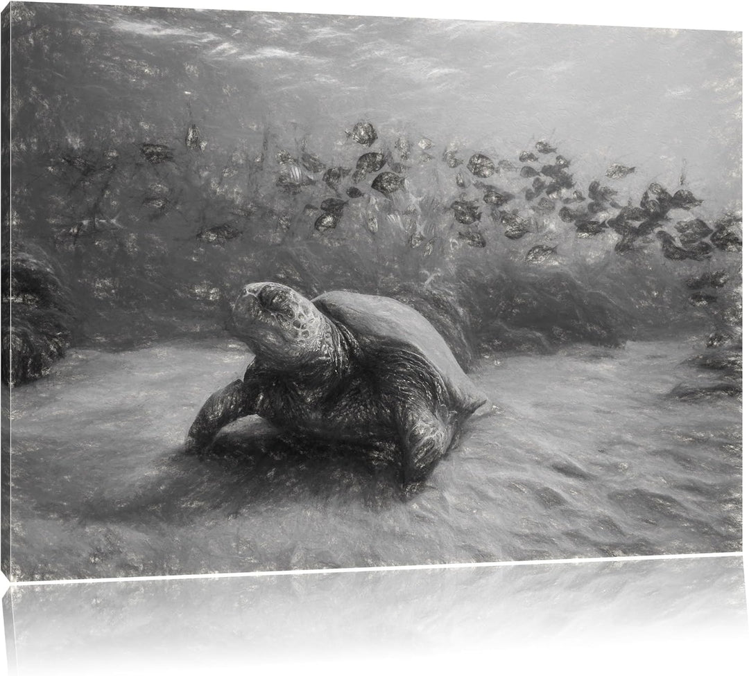 Schildkröten Kohle Effekt, Format: 100x70 auf Leinwand, XXL riesige Bilder fertig gerahmt mit Keilra