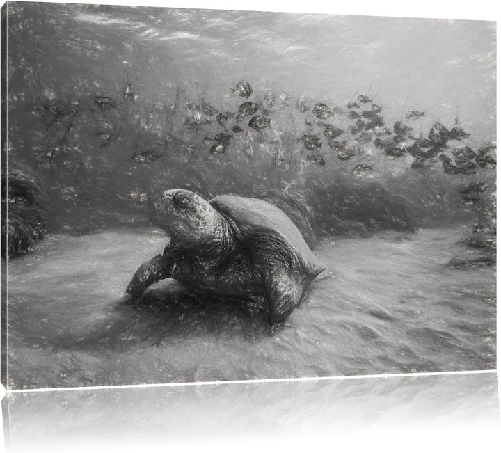 Schildkröten Kohle Effekt, Format: 100x70 auf Leinwand, XXL riesige Bilder fertig gerahmt mit Keilra