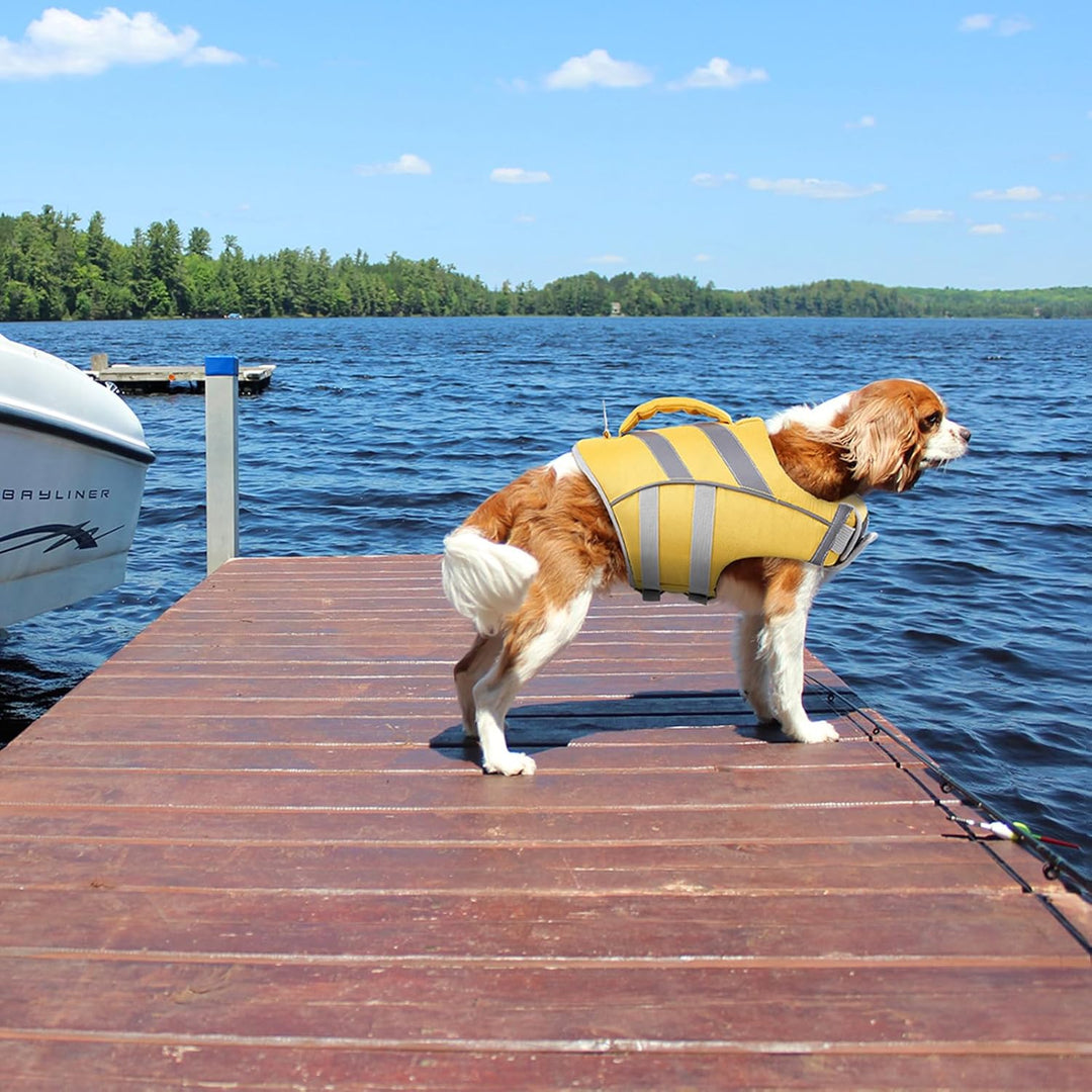 Kuoser Schwimmweste Hund, Haltbarkeit Hundeschwimmweste, Hervorragender Auftrieb Schwimmweste Hund k