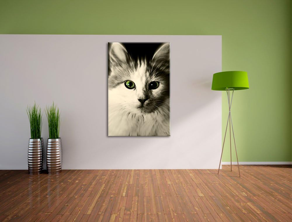 Pixxprint anmutige Katze auf Leinwand, XXL riesige Bilder fertig gerahmt mit Keilrahmen, Kunstdruck